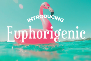 Euphorigenic: A Luxe Font for Your Brand