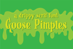 Goose Pimples: A Serif Font for Bold Editorial Design
