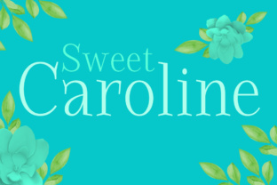 Sweet Caroline: A Rustic Serif Font for Web Design