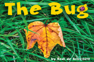 The Bug: A Blackletter Font for Bold Branding